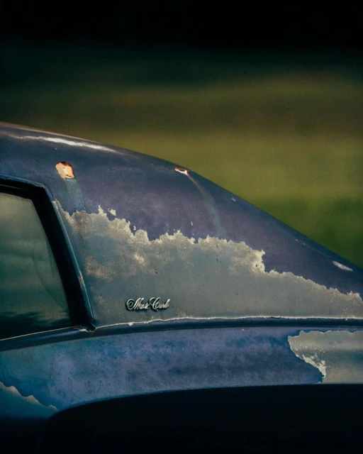 Cropped view of a weathered, vintage blue car with visible rust and the 'Monte Carlo' emblem against a blurred green background.