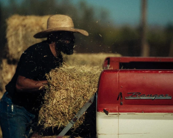 Adult male farm worker wearing straw hat loads hay bales into the back of a vintage red Ford Ranger pickup truck outdoors.