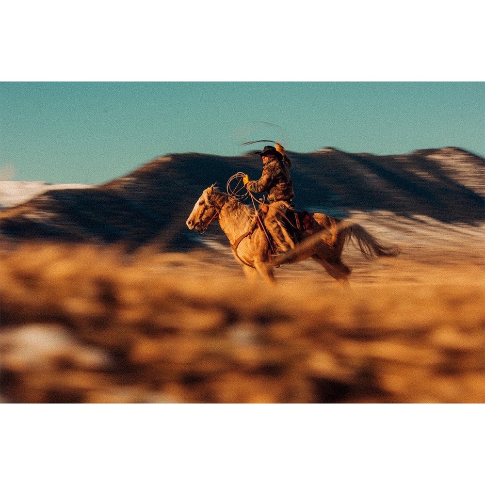 A tan horse gallops across a grassy field, carrying a cowboy in chaps and a hat, with blurred mountains in the background under a blue sky.