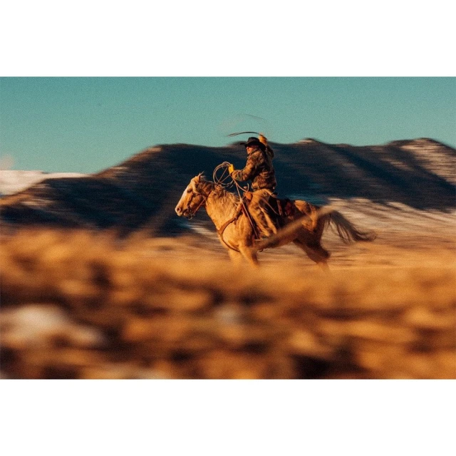 A tan horse gallops across a grassy field, carrying a cowboy in chaps and a hat, with blurred mountains in the background under a blue sky.