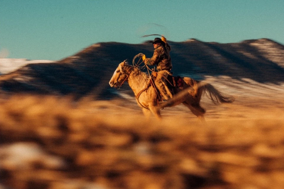 A cowboy rides a palomino horse through a grassy field with snow-capped mountains in the background, capturing a moment of speed and freedom.