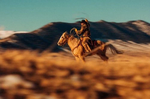 A cowboy rides a tan horse at full speed across a field of golden grass with snow-capped mountains in the background under a blue sky.