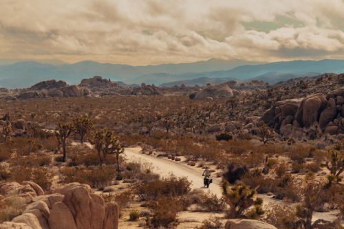 Landscape view of a person riding a motorbike on a dirt road through a desert environment with Joshua trees and rock formations, under a cloudy sky.