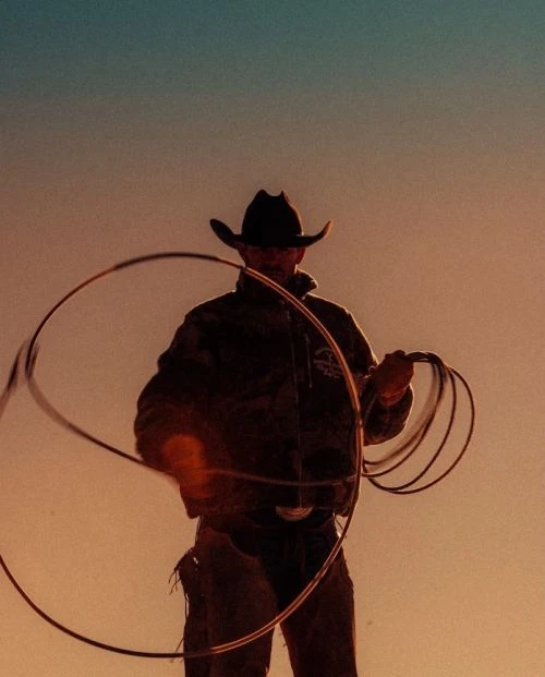 Cowboy swinging a lasso under warm lighting with a gradient sky. Silhouette and texture show details in clothing and rope.
