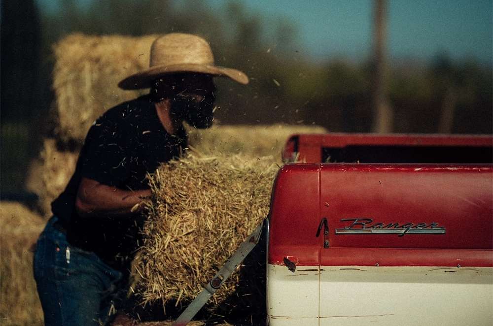 Adult male wearing a straw hat loads bales of hay into the back of a vintage red and white pickup truck on a sunny day in a rural outdoor setting.