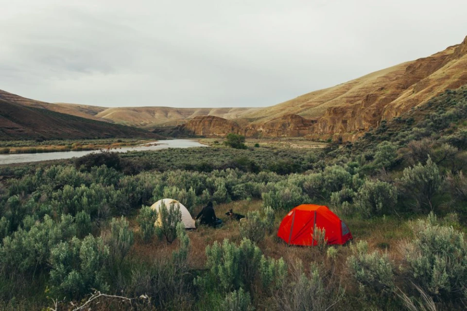 Scenic landscape with two colorful tents pitched among green bushes, a river, and rolling brown hills under a cloudy sky.