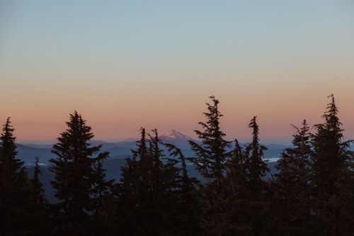 Scenic dusk landscape with silhouette fir trees, distant mountains, and pastel gradient sky in blue, pink, and orange hues.