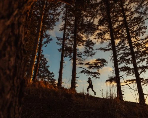 Silhouette of a runner in a forest at sunset. Tall trees frame a person running uphill against a sky with warm, golden light.