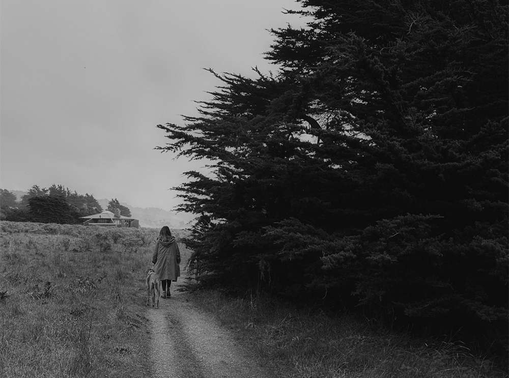 A solitary woman walks her dog on a tranquil path flanked by tall trees, creating a peaceful monochrome landscape under an overcast sky.