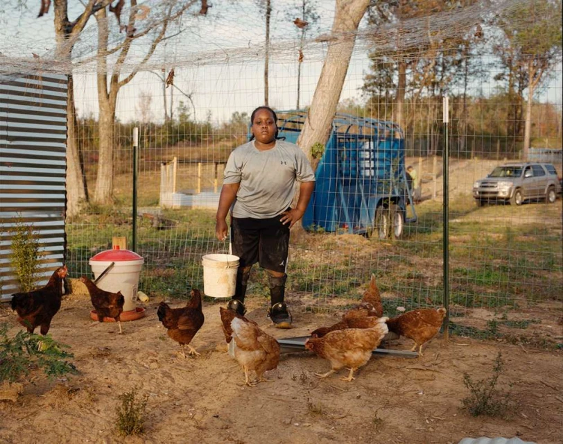 Teen stands in a chicken pen with chickens in a rural yard with a trailer and vehicle in the background, bathed in natural light.
