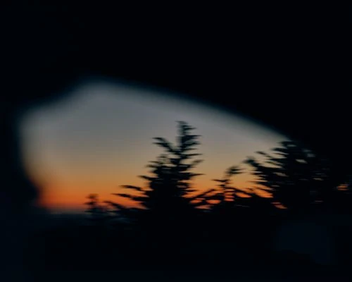 Silhouette of evergreen trees against a dark orange sky at dusk, viewed through an obscured frame, creating a mysterious, natural scene.