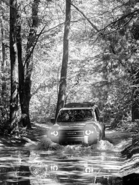 Black and white shot of a Toyota SUV driving through a shallow river in a forest setting with light filtering through the trees.