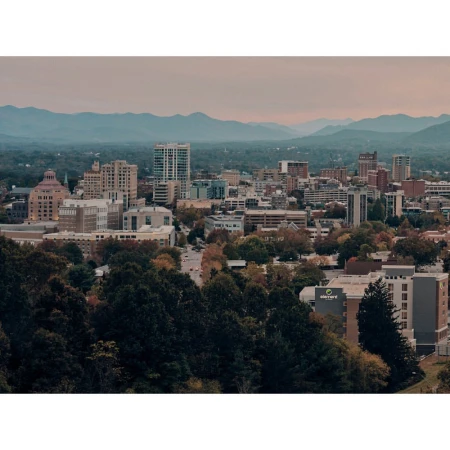 An aerial view of a city with skyscrapers, trees in the foreground, and mountains in the distance under a cloudy sky.
