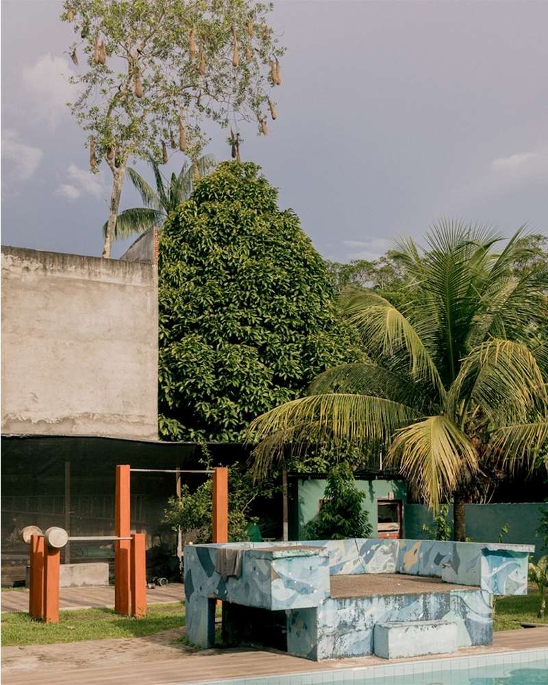 Outdoor scene with a weathered concrete bench near a pool, surrounded by lush greenery, including palms and various tropical trees.