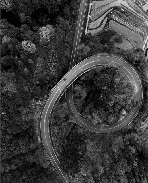 Aerial view in black and white shows a winding road cutting through a lush green forest with a single car on the road.