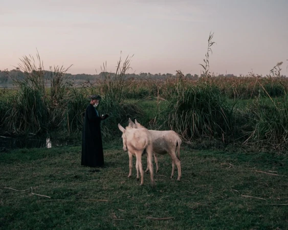 Man in dark robe stands beside two light-colored donkeys in a field with tall grass under a dusky sky, evoking a peaceful rural scene.