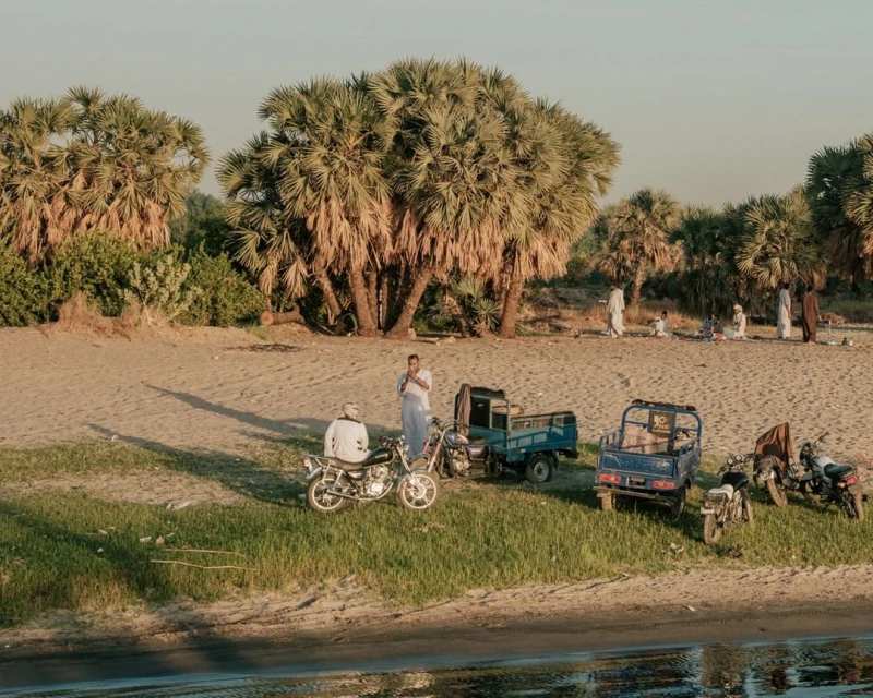 Outdoor scene featuring a group of people, motorcycles, and trucks near palm trees under a bright sky with long shadows.
