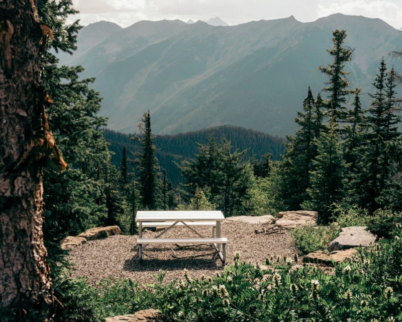 A picnic table is situated among evergreen trees, with a scenic mountain range backdrop on a clear day, offering an inviting outdoor dining space.