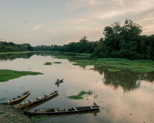 Tranquil river scene with dugout canoes, lush green vegetation, and a serene sky, creating a peaceful natural landscape.