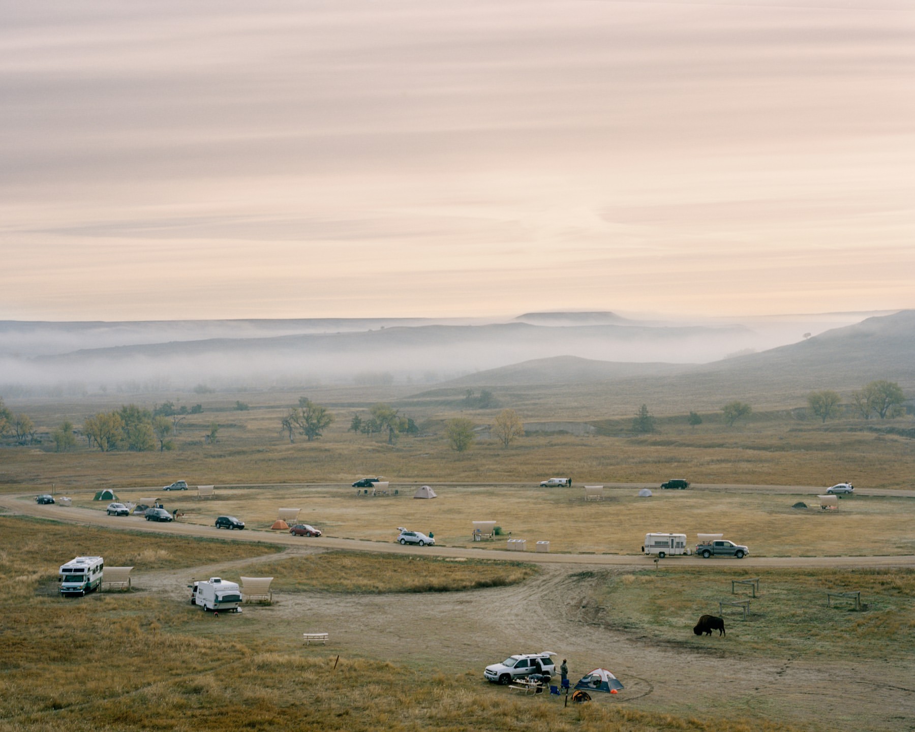 Wide landscape shot of a grassy field with a campground of tents and vehicles under a hazy sky, with a bison in the foreground.