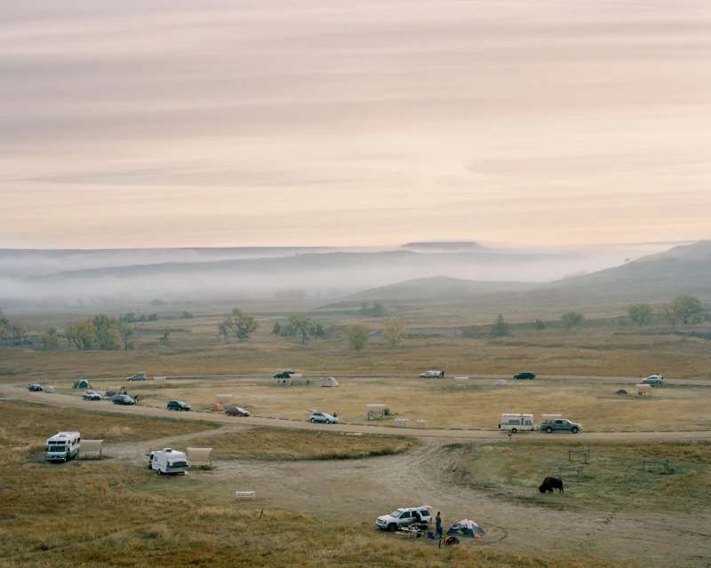 Wide landscape shot of a grassy field with a campground of tents and vehicles under a hazy sky, with a bison in the foreground.