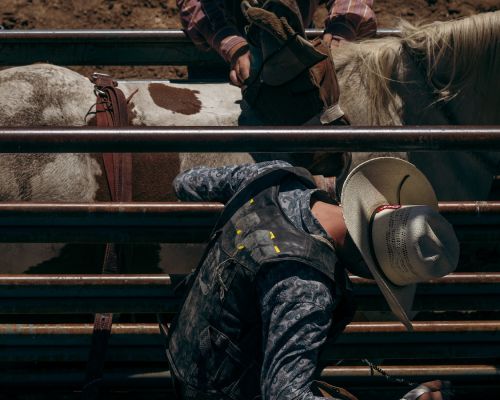 Cowboy riding a bull in a rodeo, wearing a cowboy hat and protective gear, captured in an outdoor arena with metal fencing.