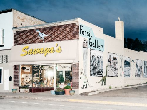 Exterior view of 'Sowaya's' Fossil Gallery with dinosaur murals, potted plants, and yellow signage under a partly cloudy sky.