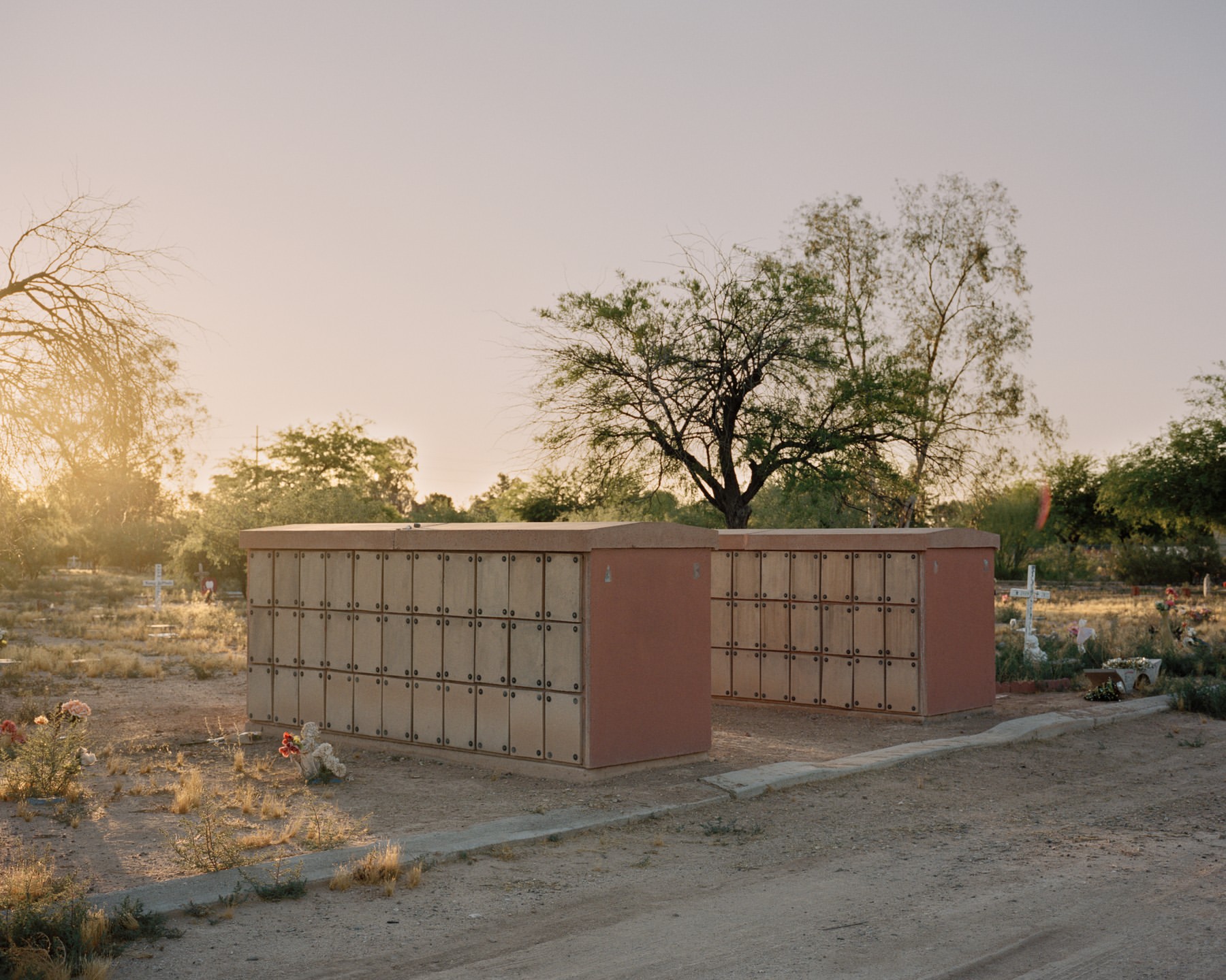 Cemetery with rows of columbarium structures, trees, and ground cover in the background, captured in warm, soft, natural lighting.