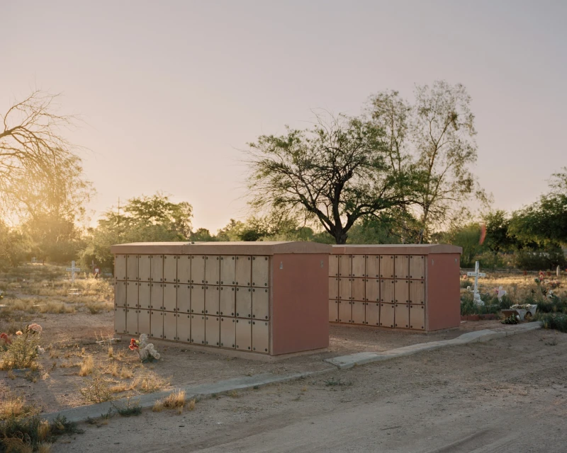 Cemetery with rows of columbarium structures, trees, and ground cover in the background, captured in warm, soft, natural lighting.