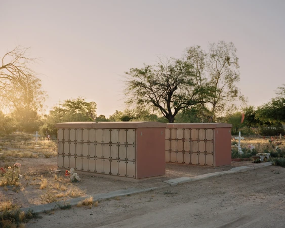 Cemetery with rows of columbarium structures, trees, and ground cover in the background, captured in warm, soft, natural lighting.