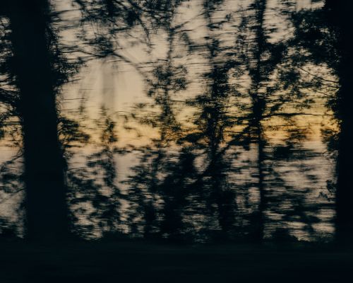 Abstract motion blur of silhouetted trees against a bright, hazy sky. Dark, blurred foreground leads to a blurred treeline and a luminous horizon.