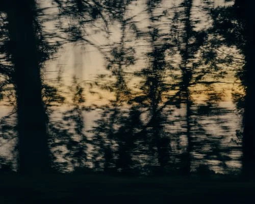Abstract motion blur of silhouetted trees against a bright, hazy sky. Dark, blurred foreground leads to a blurred treeline and a luminous horizon.