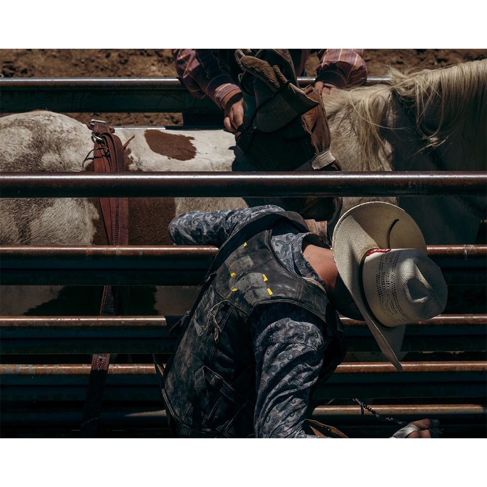 Cowboy in a protective vest and hat is atop a horse with brown and white spots, positioned behind a metal fence. Rodeo scene.