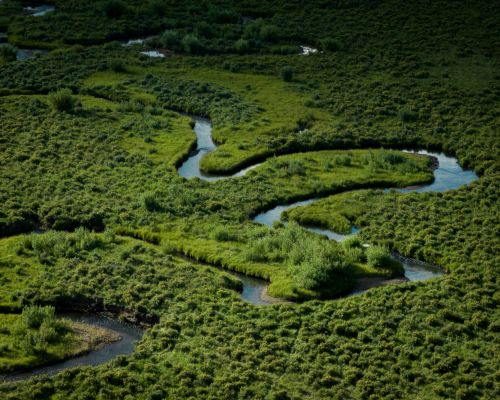 Aerial view of a meandering river flowing through a lush green landscape, with sunlight reflecting on the water's surface in daylight.