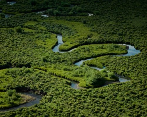 Aerial view of a meandering river flowing through a lush green landscape, with sunlight reflecting on the water's surface in daylight.