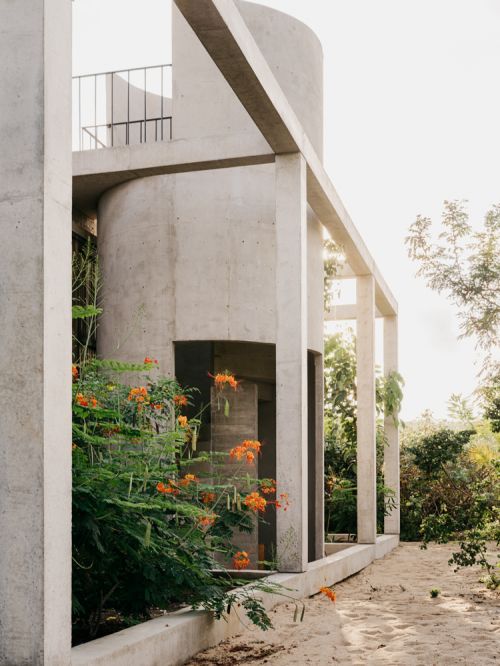 Exterior view of modern architectural concrete building with tropical plants and surrounding trees against an overcast sky.