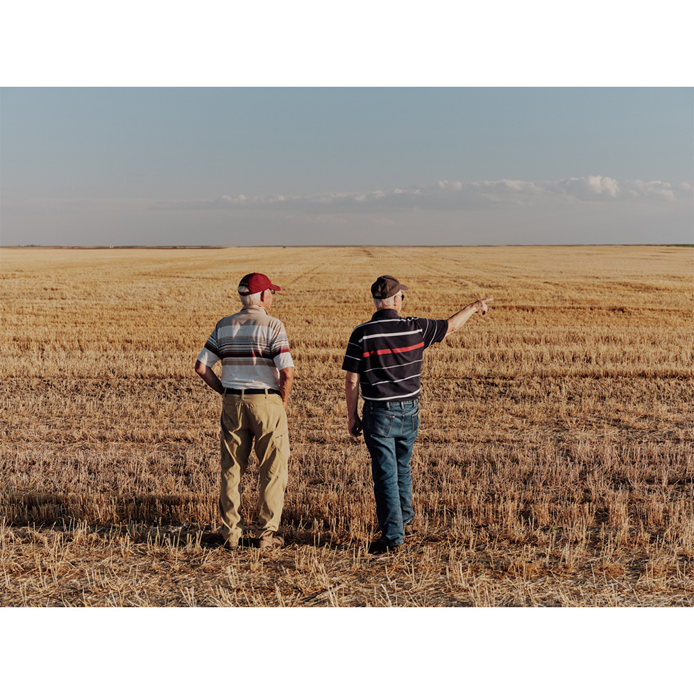Two adult males stand in a dry field on a clear day, with one man pointing into the distance; landscape view, minimal clouds, sunlight.