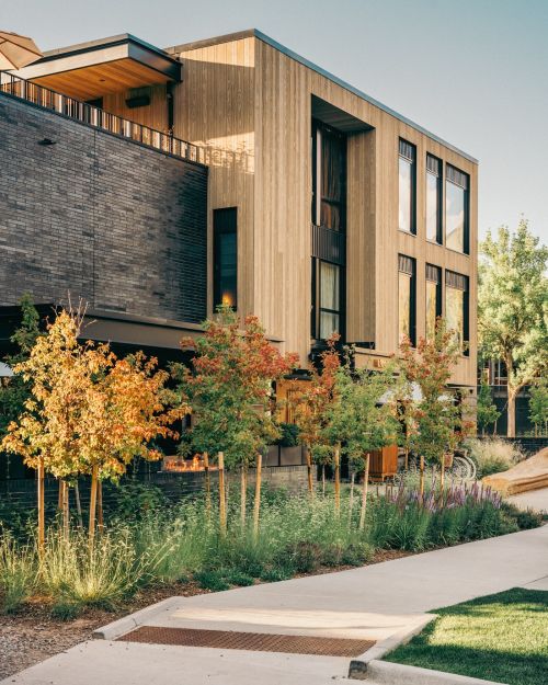 Modern architectural building with wood and brick exterior, surrounded by young trees, grass, and a concrete walkway on a sunny day.