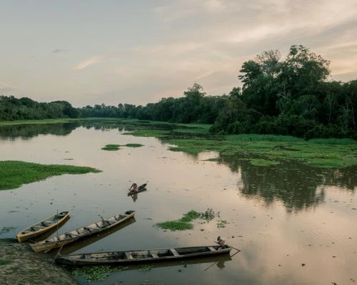 Wooden canoes moored along the bank of a wide river with dense green forest lining the distant shores under an overcast sky.