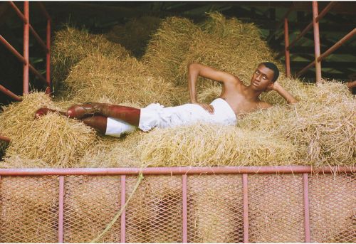 A shirtless adult male laying in a pile of hay in an indoor barn setting with a metal gate in the foreground.