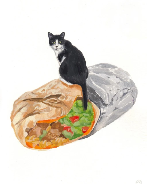 Illustration of a black and white cat sitting atop a partially unwrapped burrito filled with rice, meat, lettuce, and tomatoes.