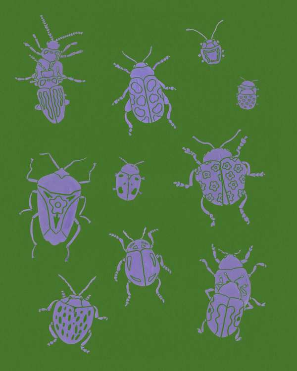 Illustration of various purple insect drawings on a green background with different shapes, sizes, and patterns.