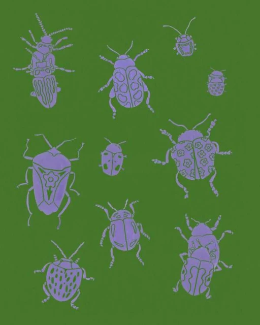 Illustration of various purple insect drawings on a green background with different shapes, sizes, and patterns.