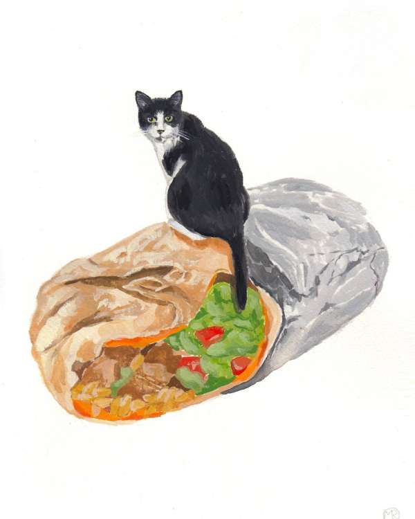 Illustration of a black and white cat sitting atop a large, partially unwrapped burrito against a white background in a watercolor style.