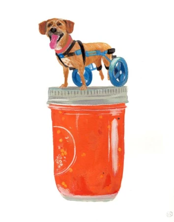 Whimsical watercolor painting of a dog with a wheeled harness standing on a jar of orange marmalade, set against a white background.