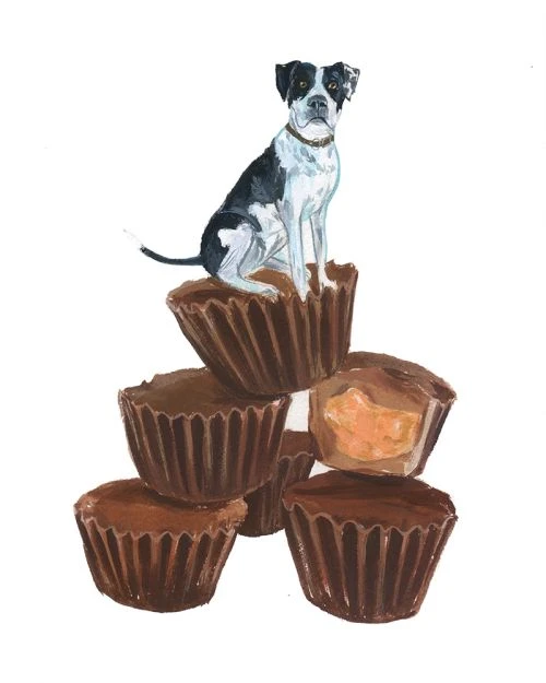 Illustration of a black-and-white dog perched atop a stacked pyramid of chocolate peanut butter cups against a clean white background.