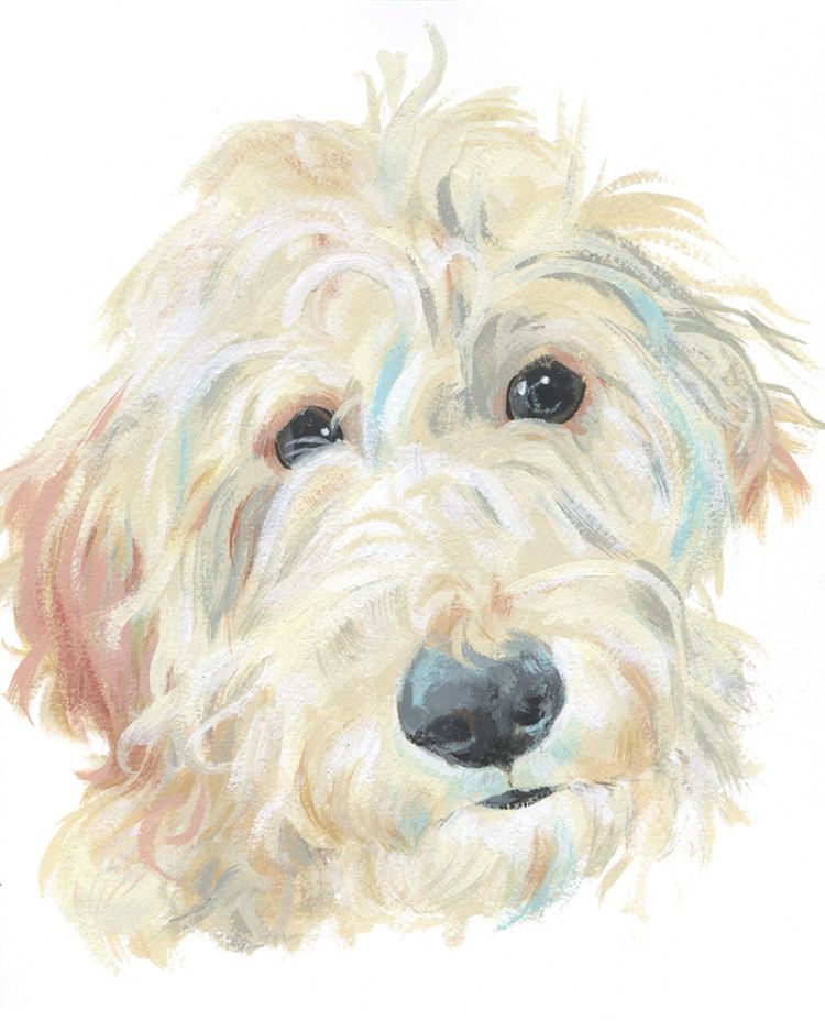 Portrait of a fluffy cream-colored dog head with dark eyes and nose, rendered in a soft-focus painting style with gentle pastel tones.