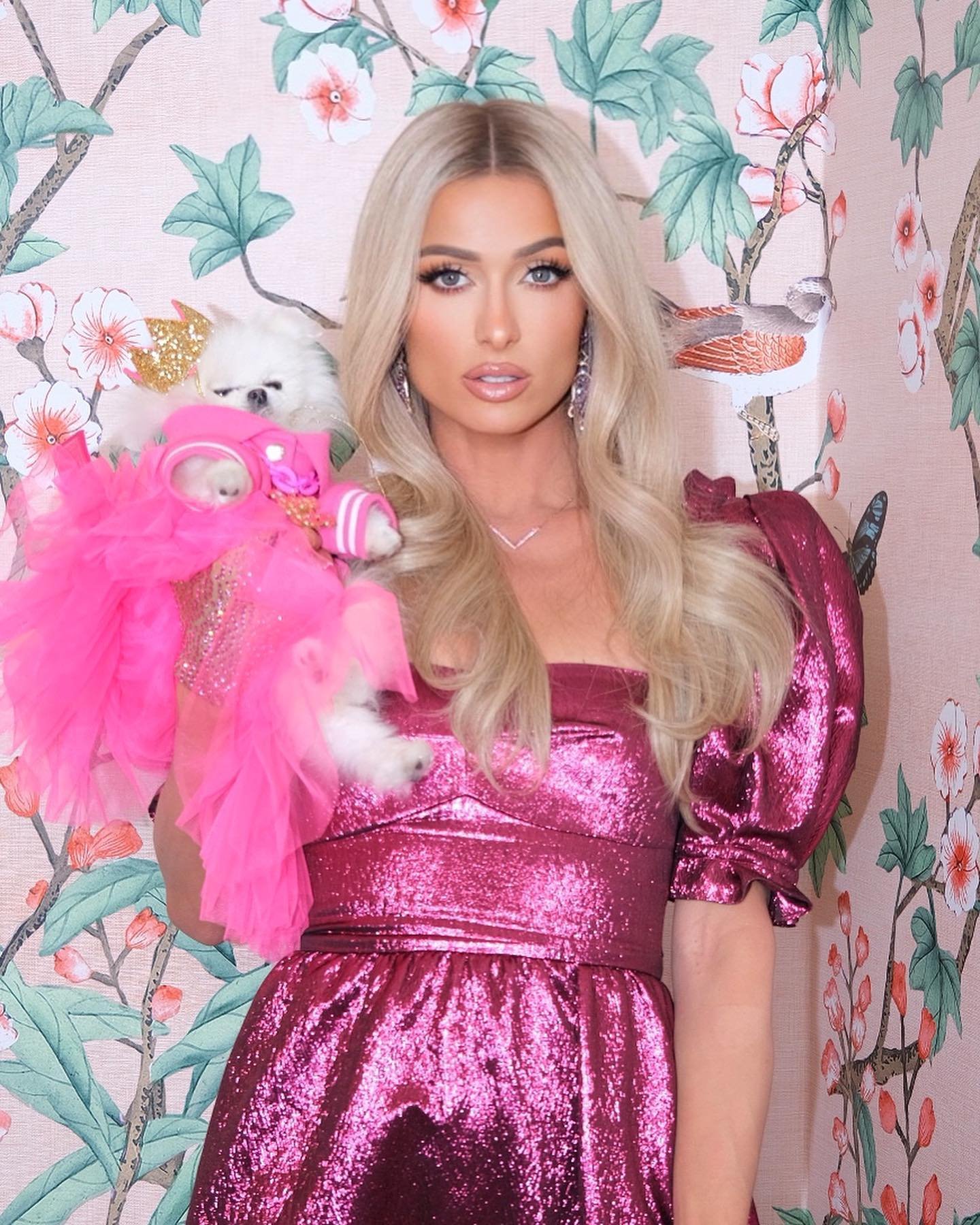 Adult woman posing with small white dog wearing pink outfit against floral wallpaper background in indoor setting. Close-up shot.