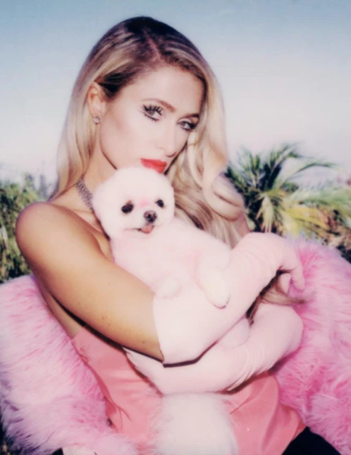 Paris Hilton with a pink dyed dog. Blonde hair, red lipstick, pink gloves and boa.  Palm tree background, clear sky, outdoor shot.
