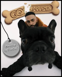 Black French bulldog in the foreground with a bearded man in an orange hoodie and a broken dog bone biscuit reading GQ HYPE